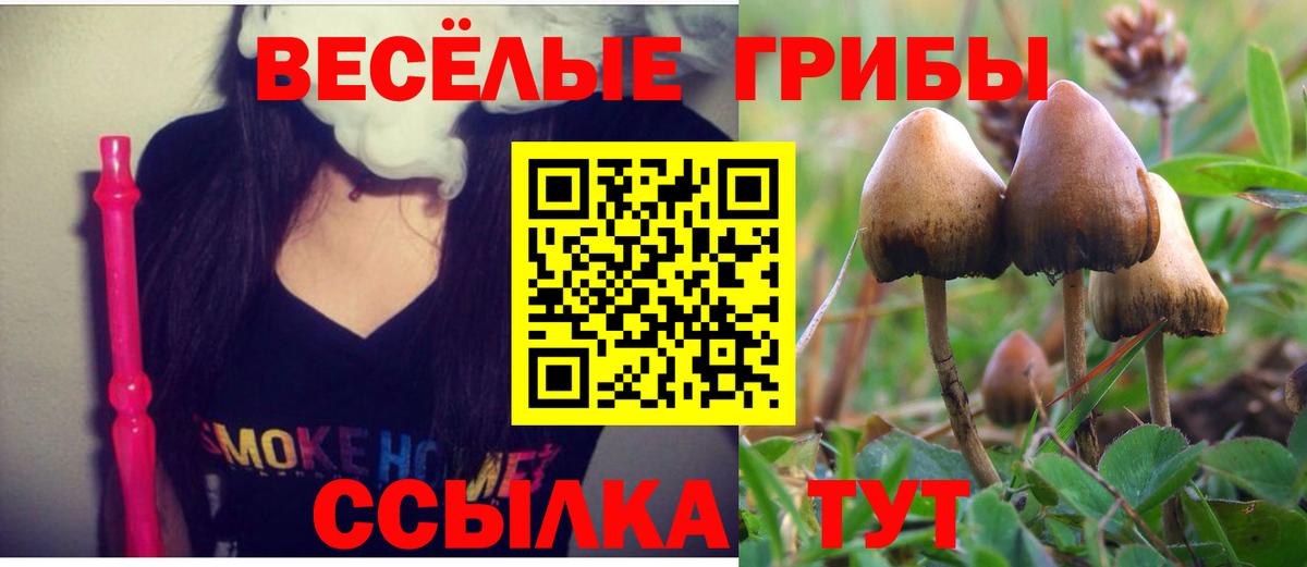 Псилоцибиновые грибы Psilocybine cubensis Назрань